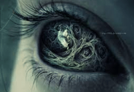eye