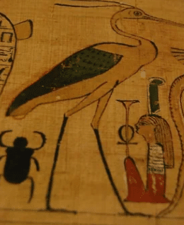 stalk glyph