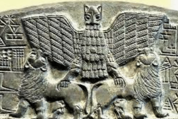 eagle form