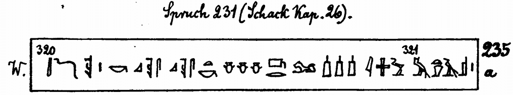 H'EMEN as a type Horus